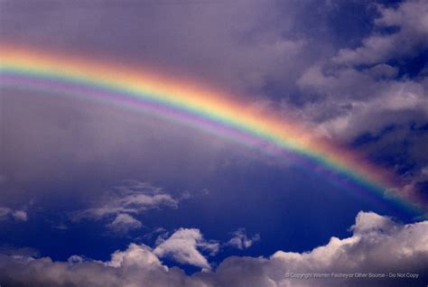 The Rainbow Tennyson And Lisas Blog