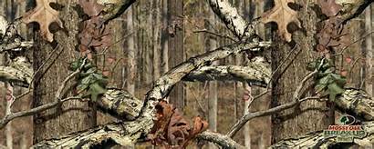 Camo Hunting Camouflage Deer Backgrounds Wallpapers Background