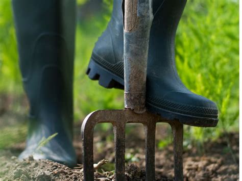 Quality gardening shoes will make your time in the garden much easier. 10 Best Gardening Shoes For Men