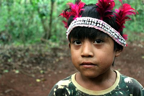 Indígenas Ava Guarani Retomam Parte De Antiga Terra Tradicional No