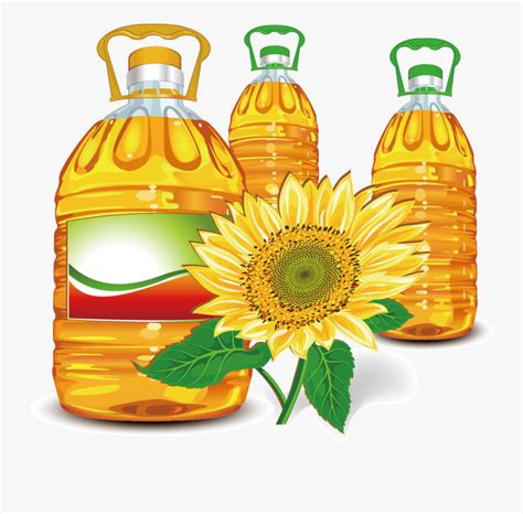 Sunflower Olive Clip Art Refined Sunflower Oil Plants
