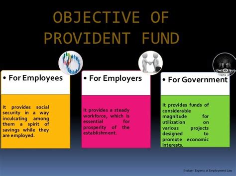 Provident Fund Basics
