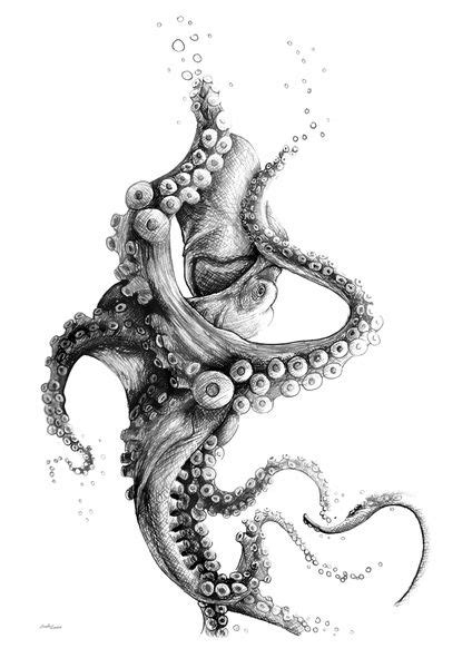 Kraken Tattoo Ideas Octopus Drawing Octopus Tattoo Design Drawings My