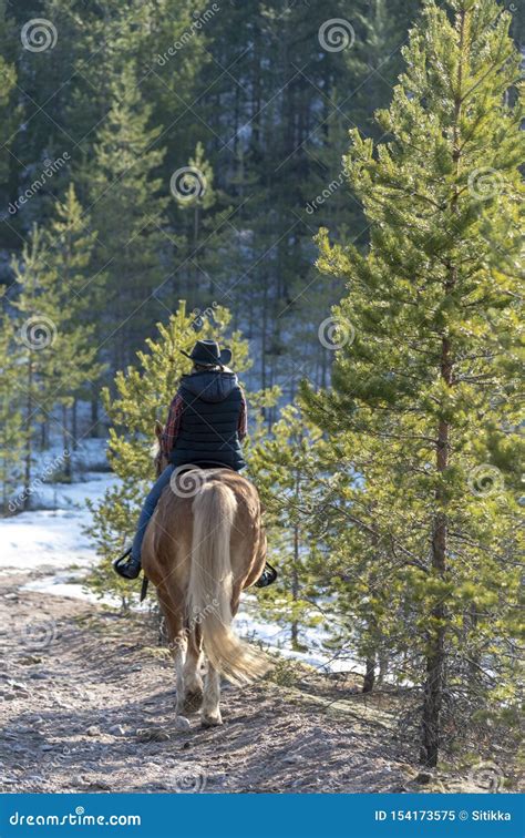Cowgirl Horseback Riding In Forest Stock Image Image Of Animal Farm