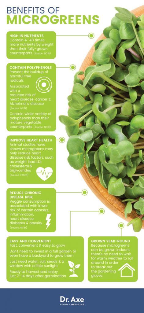 What Are Microgreens Nutritional Benefits And How To