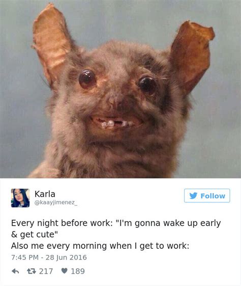 34 Funny Work Memes For All You Working Stiffs Out There Funny