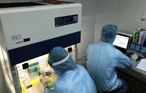 Saliva testing does depend on standard pcr technology, and it does. Committee: Vietnam able to master two SARS-CoV-2 testing methods