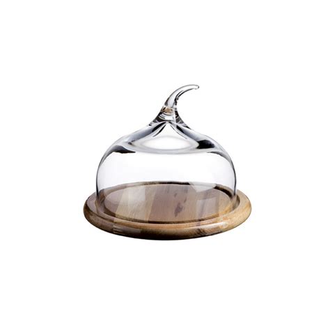 Senses™ Small Glass Dome With Wood Base Turgla Home