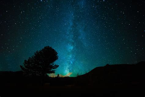 Free Images Tree Sky Night Star Milky Way Atmosphere Space
