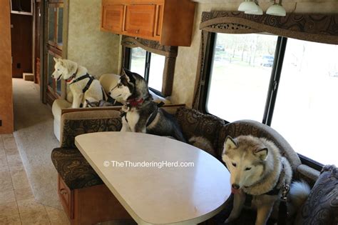 Maybe you would like to learn more about one of these? Our RV Setup | The Thundering Herd