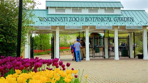 Cincinnati Zoo And Botanical Garden In Cincinnati Ohio