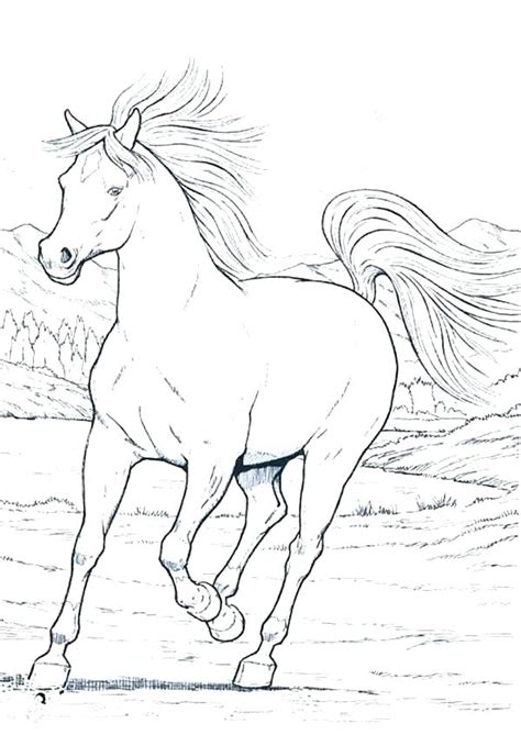 Wild Horse Coloring Pages At Free Printable