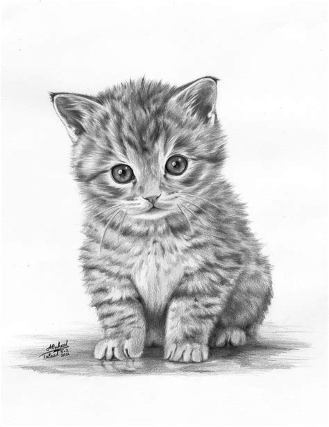 Cool science was discontinued since the content was not as current as we would like. Animals drawings. $100.00, via Etsy. | Kitten drawing, Animal drawings, Cool drawings