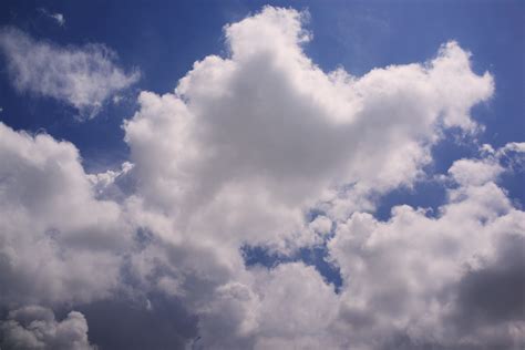 Free Images Landscape Nature Horizon Light Cloud Sun White