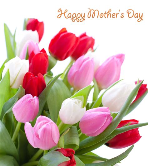 wishing all mom s a lovely mother s day weekend shine on flowers tulips flowers tulips