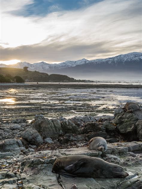 New Zealand Photo Sesh Wandering And Capturing Wemooch