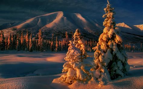 Winter Forest Nature Landscape Mountain Trees Snow Sunrise Clouds Cold Wallpapers Hd