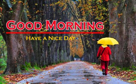 62 Rainy Day Good Morning Images Pictures Wallpaper