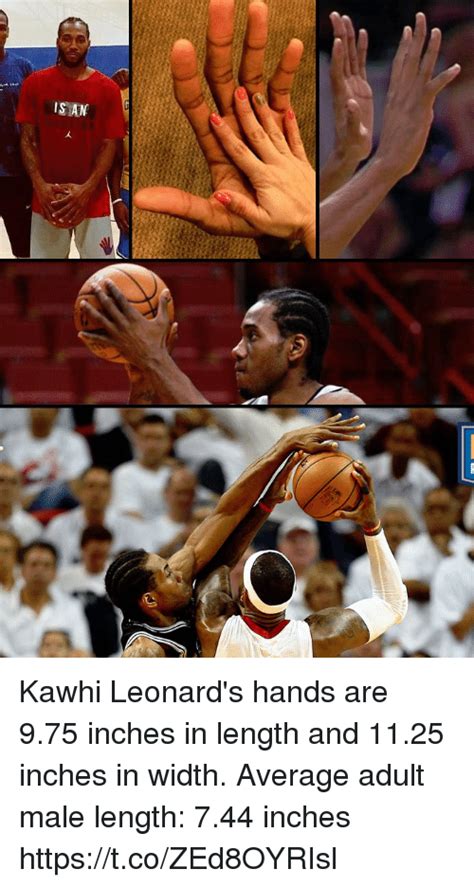 Kawhi leonard is a prestigious american professional player. IS AN Kawhi Leonard's Hands Are 975 Inches in Length and 1125 Inches in Width Average Adult Male ...
