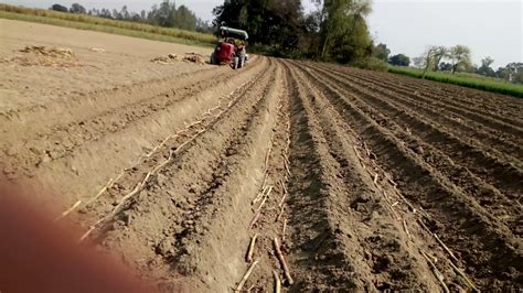 Sugarcane Trench Field Prepration By Kd Technical Farming Youtube