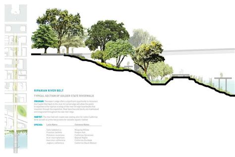 Pin By Vaughan Thayer On Urban Design Landscape Architecture Section