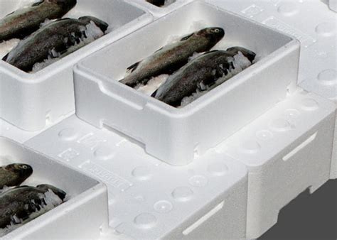 Turn Foam Fish Boxes Into Revenue For Fish Producers In The Uk