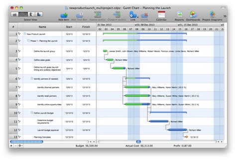 Gantt chart examples | ConceptDraw PROJECT Project Management Software Tool | Gantt Chart ...