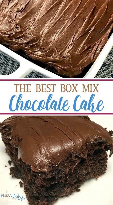 Box Mix Chocolate Cake With Only A Few Easy Ingredients Added Is So