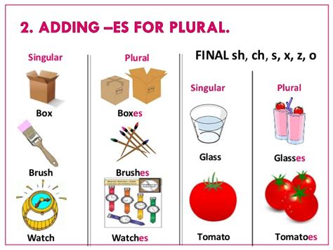 Lets Learn Singular And Plural Lets Learn Singular And Plural