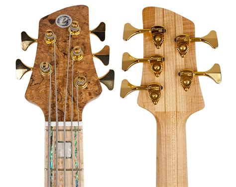 “three Fives That Fire On All Eight” The Elrick Master Gold And Expat Series Bass Guitars