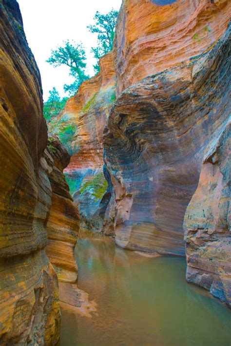 Slot Canyon At Zion National Park