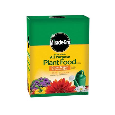 Miracle Gro 10 Lbs Water Soluble All Purpose Plant Food 1001192 The