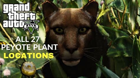 Gta 5 All 27 Peyote Plant Locations Become An Animal Youtube