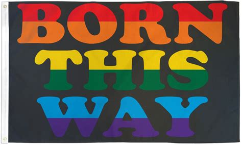 born this way rainbow flag gay pride banner event festival parade pennant lgbt ebay