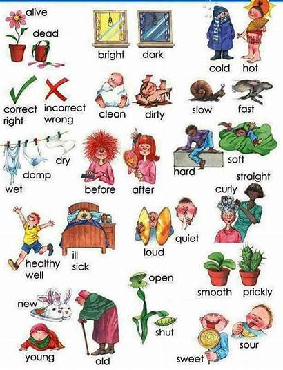 English Adjectives Opposites Opposite Common Words Ingles