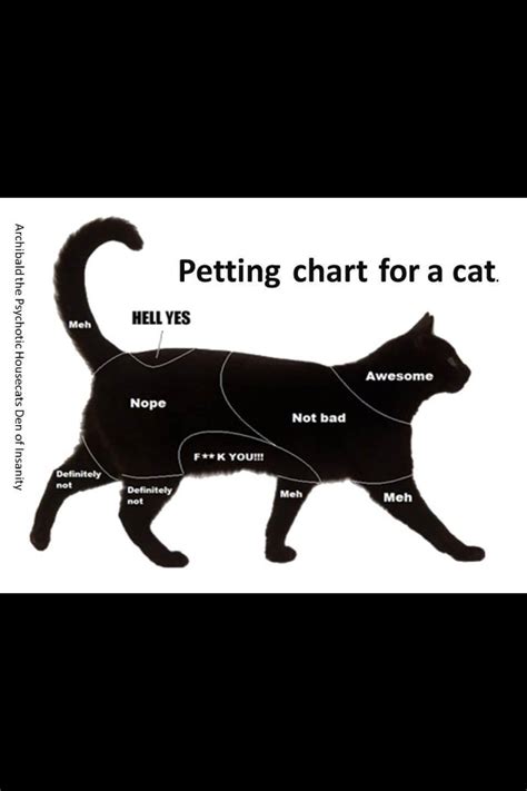 Cat Petting Chart Animal Cats And Claws A Feline Point Of View