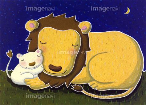 【眠るライオンの親子】の画像素材 40501290 イラスト素材ならイメージナビ