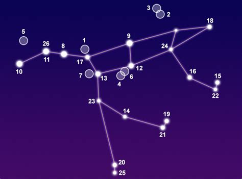 42 animals, 29 objects & 17 humans / mythological characters. Constellation Ursa Major - The Constellations on Sea and Sky