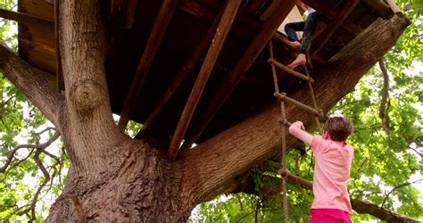 How To Build A Rope Ladder For A Treehouse Storables