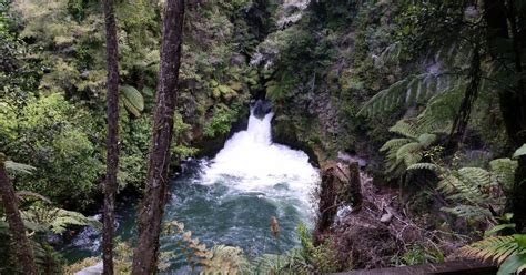 Okere Falls Track Rotorua New Zealand
