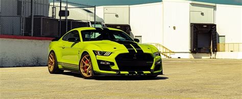 Lime Green Ford Mustang Shelby Gt500 Should Come With Antivenom