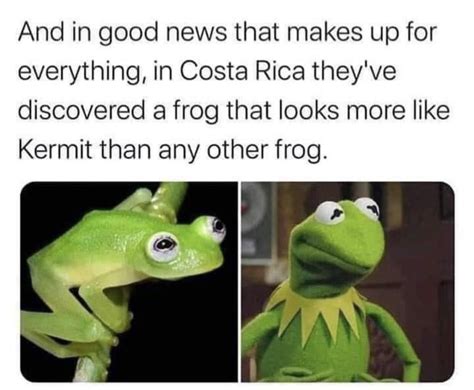 The Real Kermit