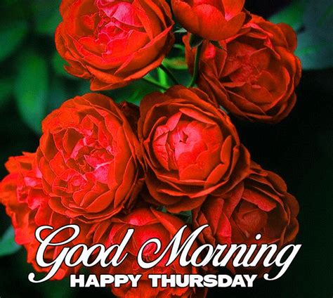With tenor, maker of gif keyboard, add popular good morning flowers animated gifs to your conversations. latest Good Morning Happy Thursday images with red flower ...