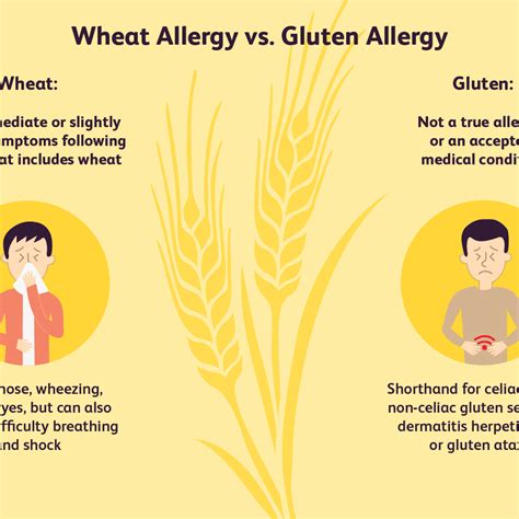 What Is A Gluten Allergy Celiac Disease And Gluten Intolerance 2020