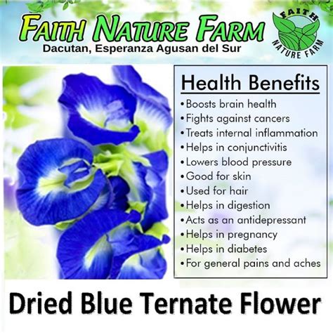 The fleshy roots tend to rot in damp and undrained soil. Organic Blue Ternate Dried 50g Butterfly Pea Dried ...