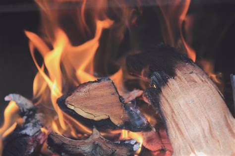 Free Images Wood Leaf Flame Fire Campfire Heat Close Up