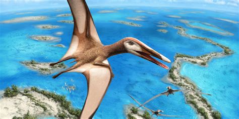 95 Million Year Old Fossil Reveals New Group Of Pterosaurs