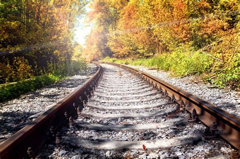 Rusty Railroad In Autumn Forest Stock Photo Image Of Cloud Long