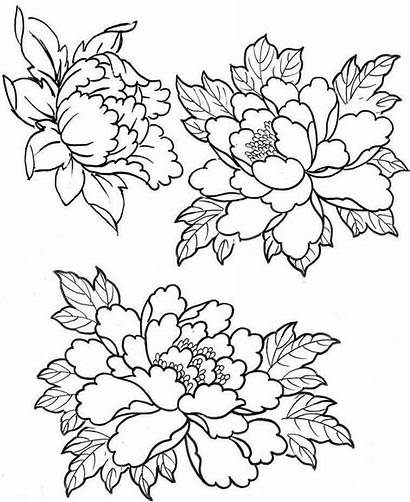 Embroidery Patterns Peony Coloring Flower Peonies Pages