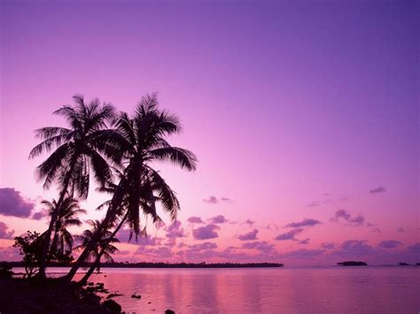 Free Download Purple Sunset On The Beach Hd Wallpapers In Beach
